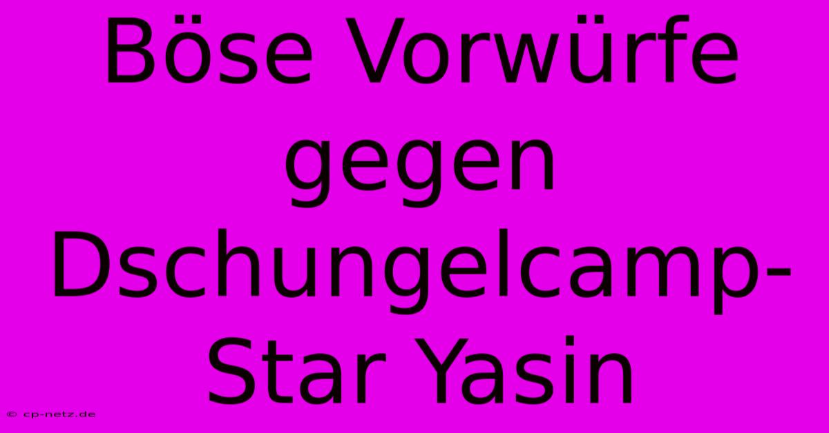 Böse Vorwürfe Gegen Dschungelcamp-Star Yasin