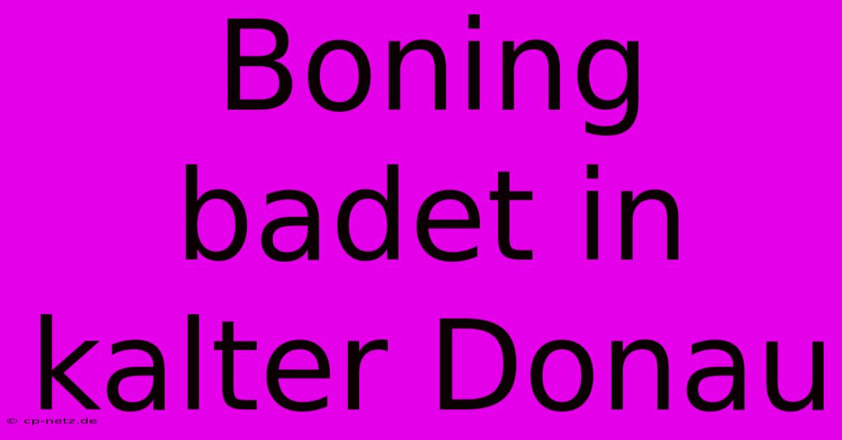 Boning Badet In Kalter Donau