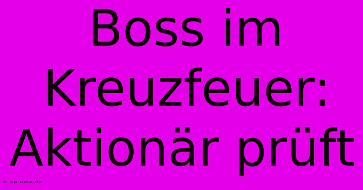 Boss Im Kreuzfeuer: Aktionär Prüft