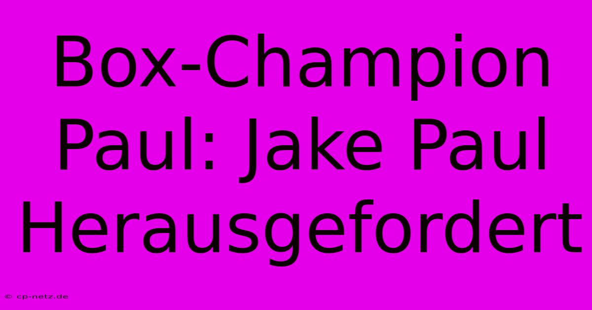 Box-Champion Paul: Jake Paul Herausgefordert