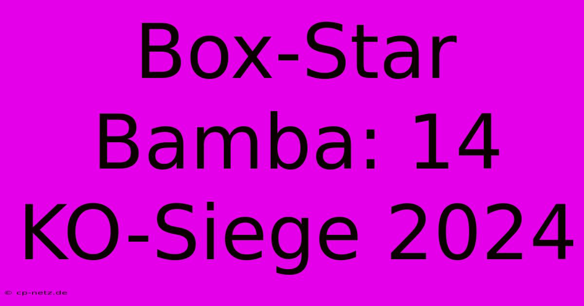 Box-Star Bamba: 14 KO-Siege 2024