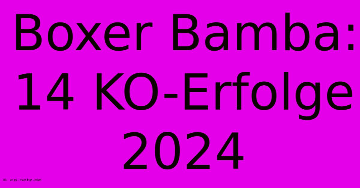 Boxer Bamba: 14 KO-Erfolge 2024