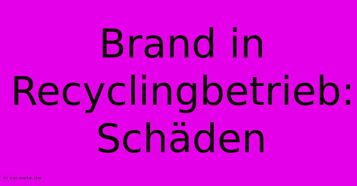 Brand In Recyclingbetrieb: Schäden