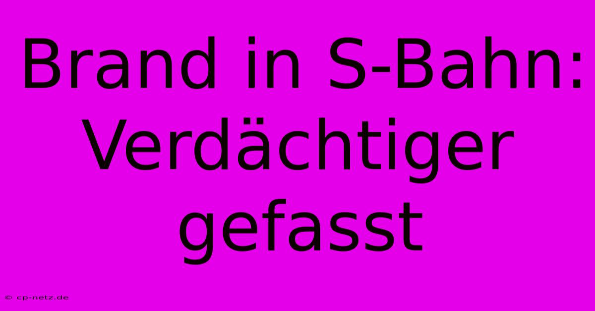 Brand In S-Bahn: Verdächtiger Gefasst