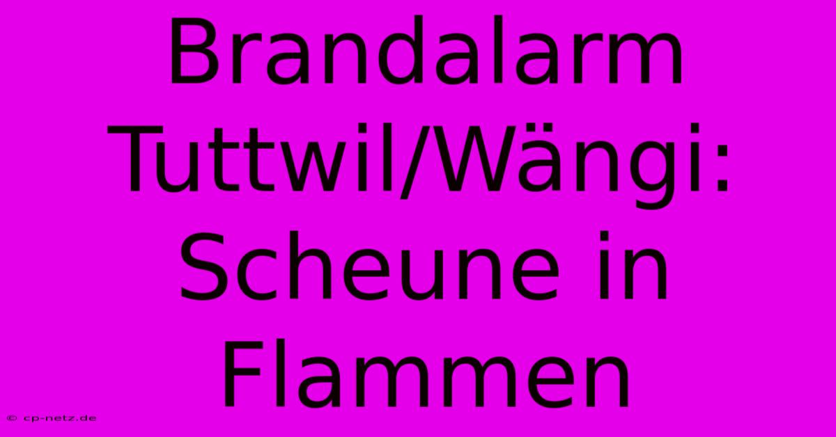 Brandalarm Tuttwil/Wängi: Scheune In Flammen