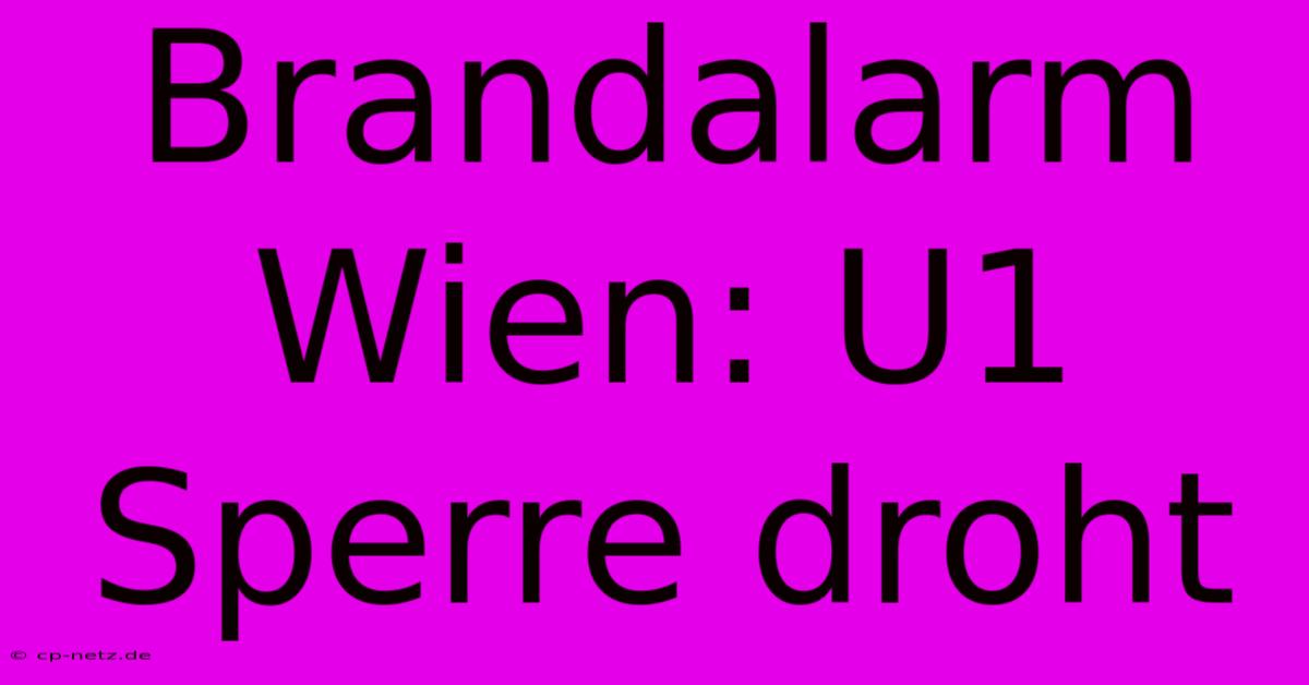 Brandalarm Wien: U1 Sperre Droht