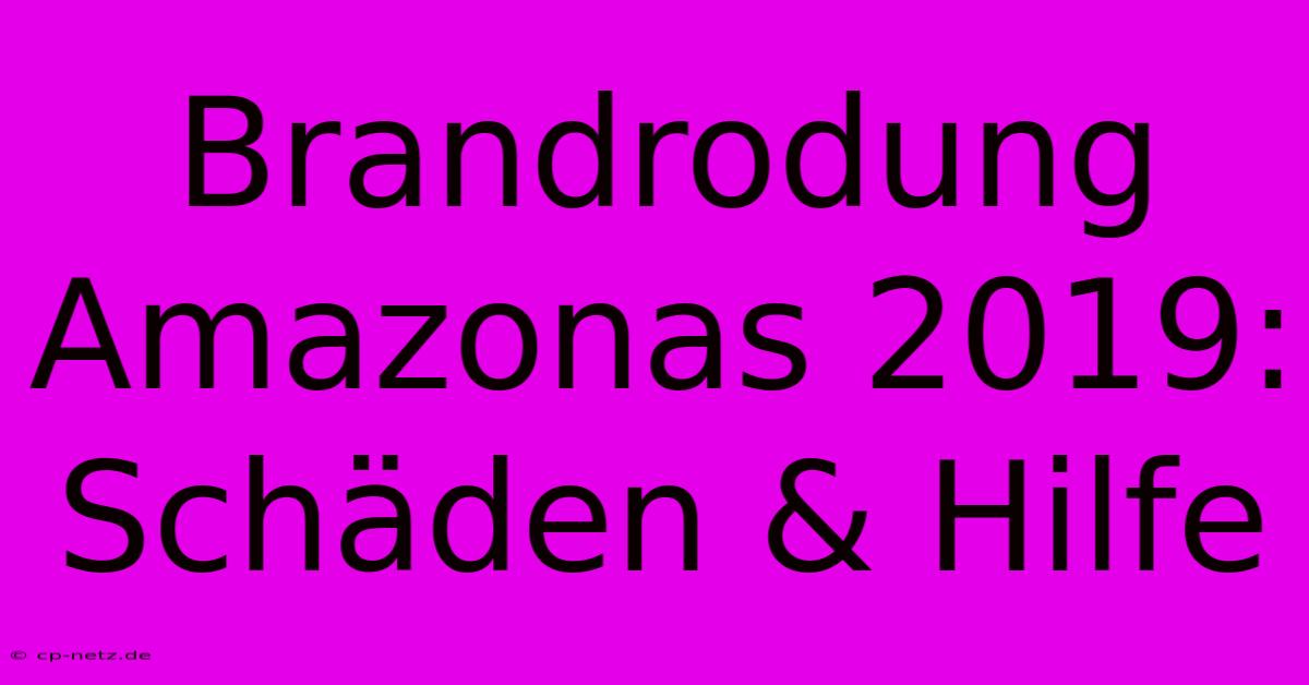 Brandrodung Amazonas 2019: Schäden & Hilfe