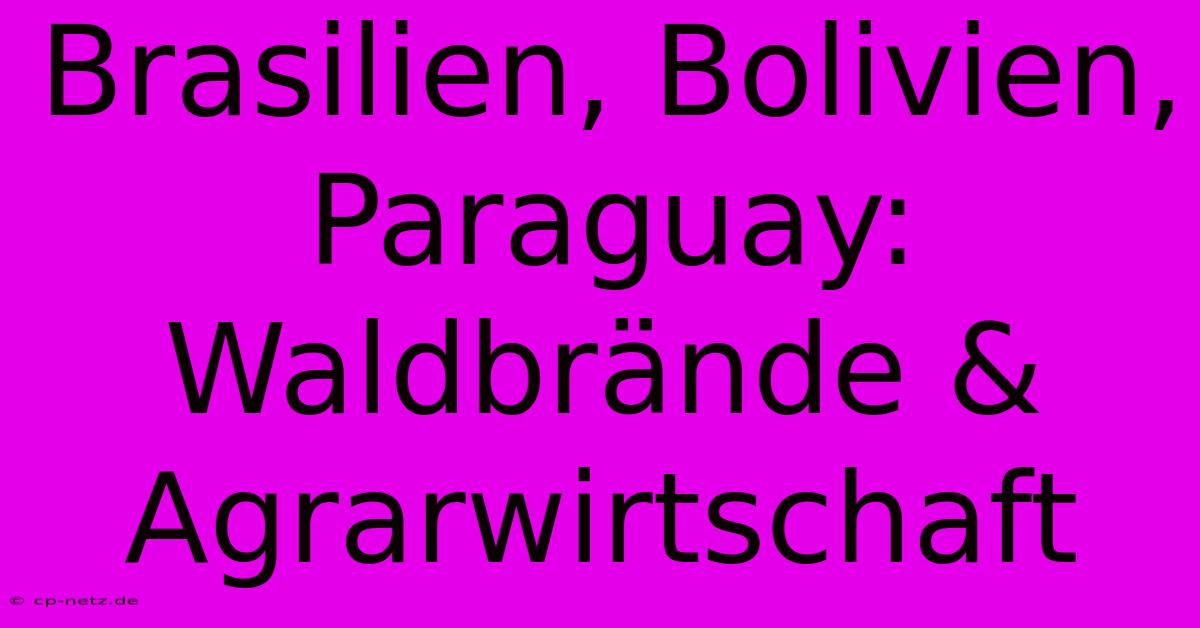 Brasilien, Bolivien, Paraguay: Waldbrände & Agrarwirtschaft