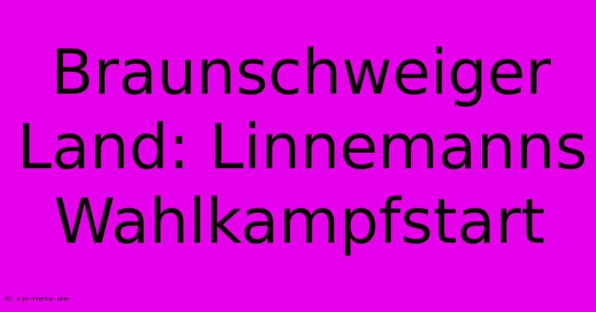 Braunschweiger Land: Linnemanns Wahlkampfstart