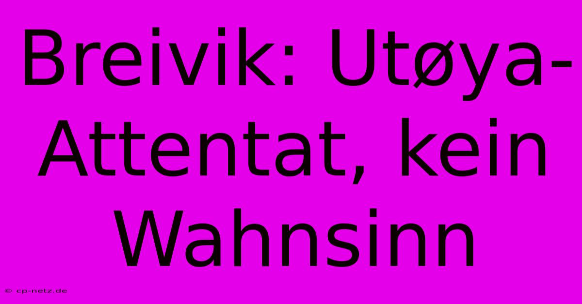 Breivik: Utøya-Attentat, Kein Wahnsinn