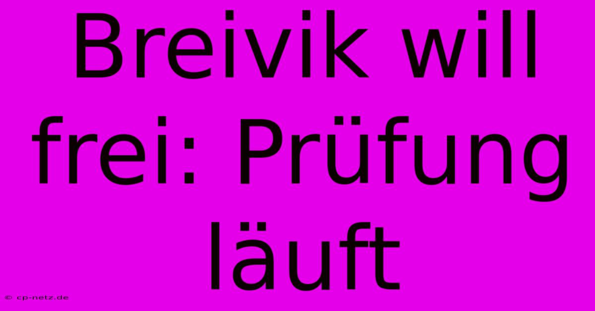 Breivik Will Frei: Prüfung Läuft