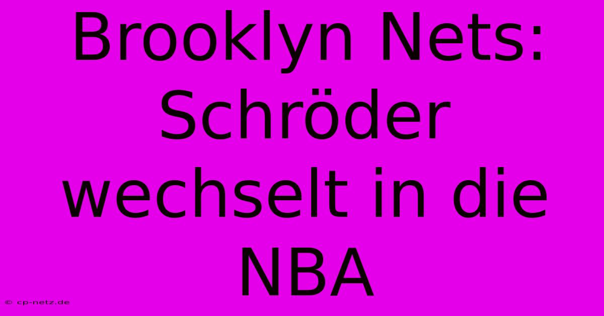 Brooklyn Nets: Schröder Wechselt In Die NBA