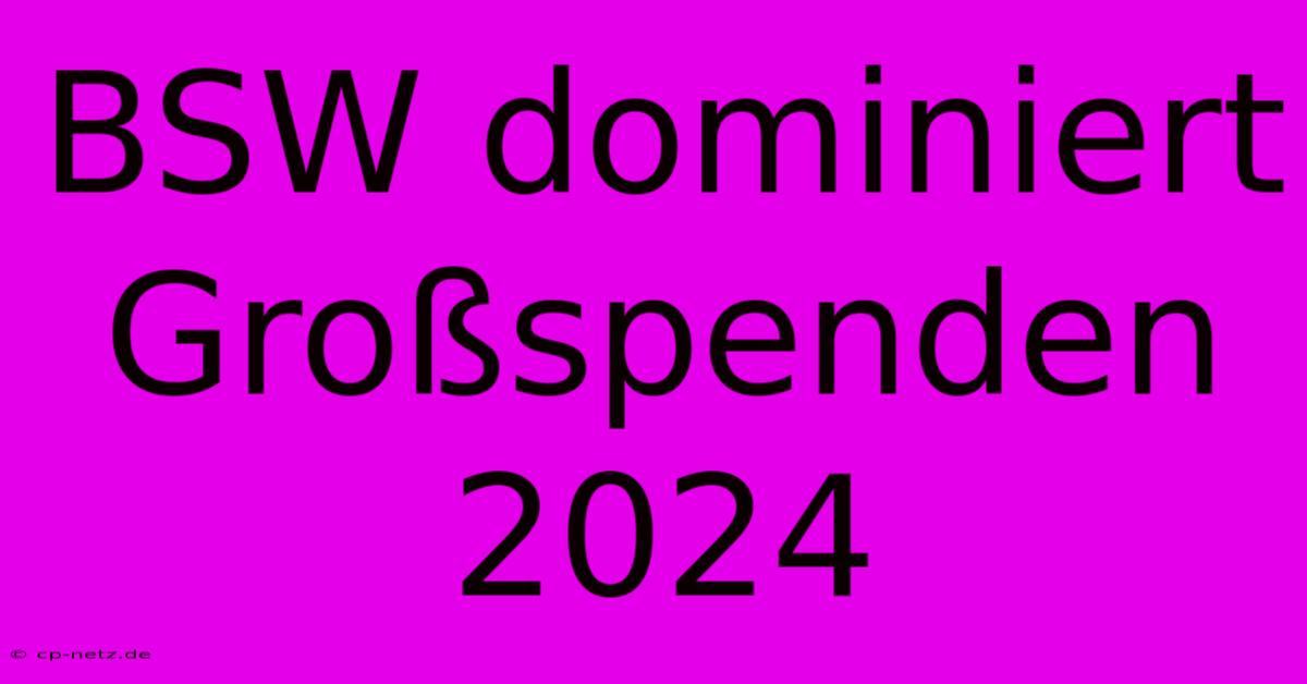 BSW Dominiert Großspenden 2024