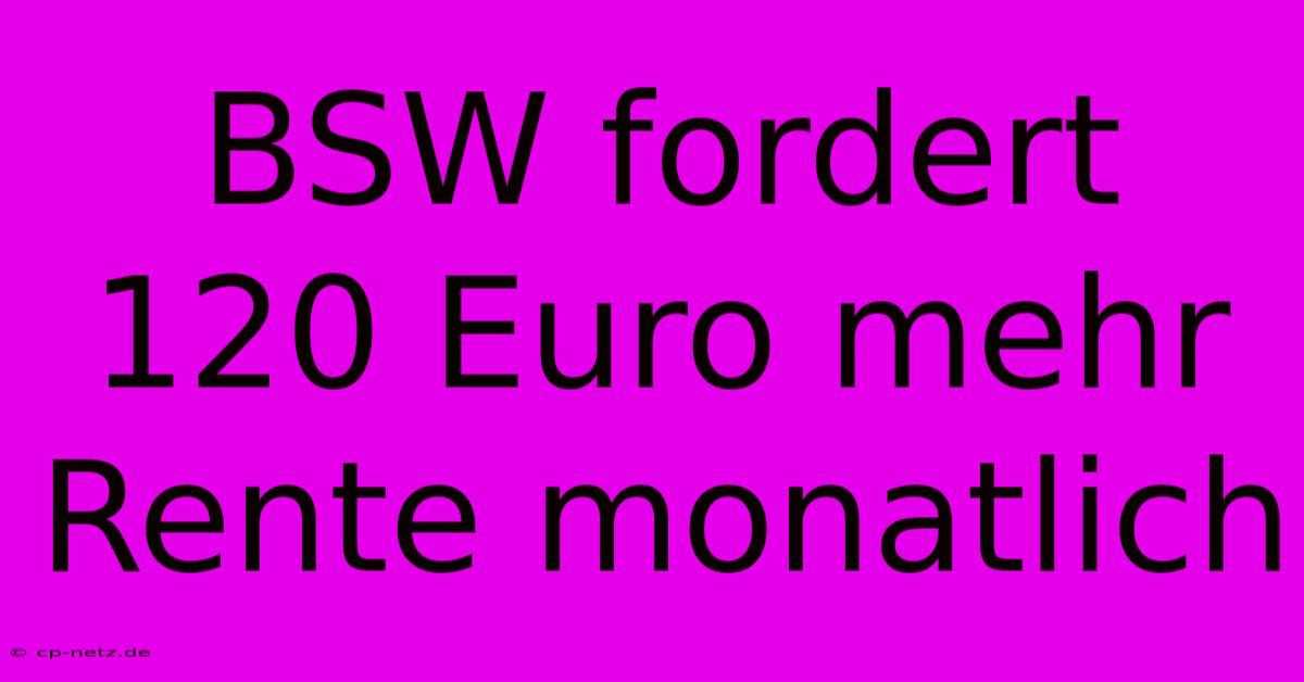 BSW Fordert 120 Euro Mehr Rente Monatlich