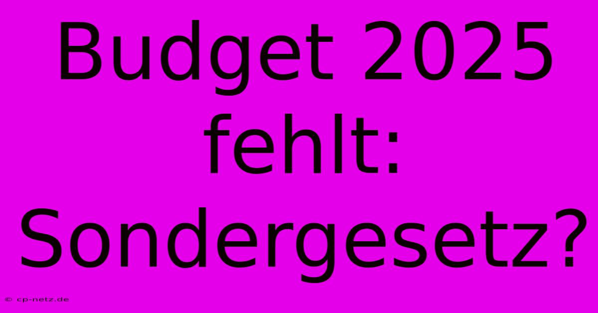 Budget 2025 Fehlt: Sondergesetz?