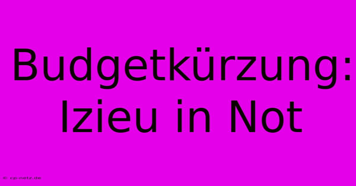 Budgetkürzung: Izieu In Not