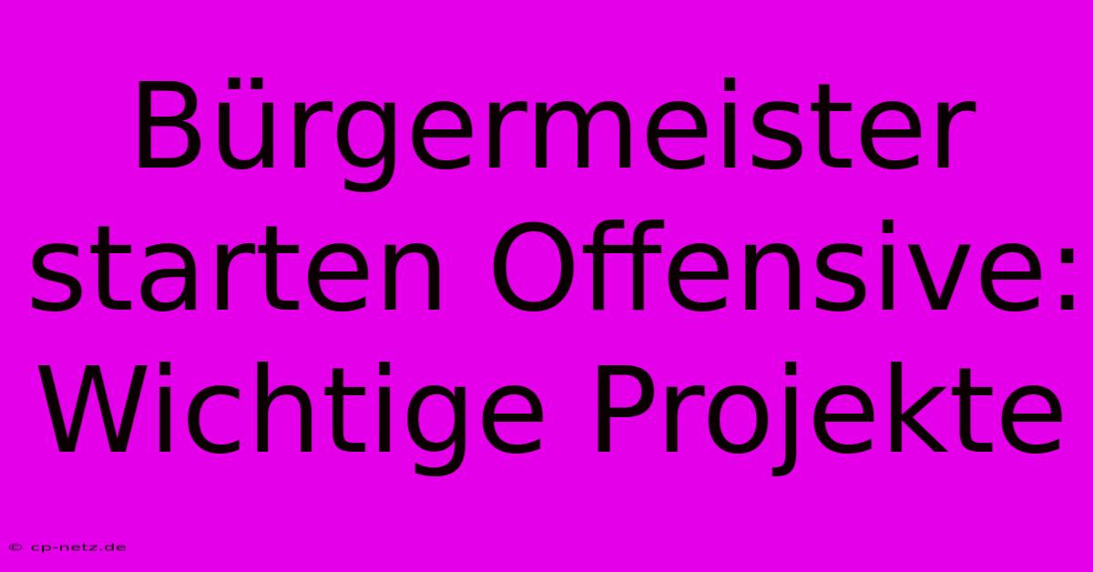 Bürgermeister Starten Offensive:  Wichtige Projekte