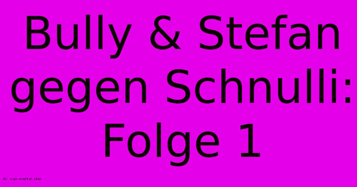 Bully & Stefan Gegen Schnulli: Folge 1