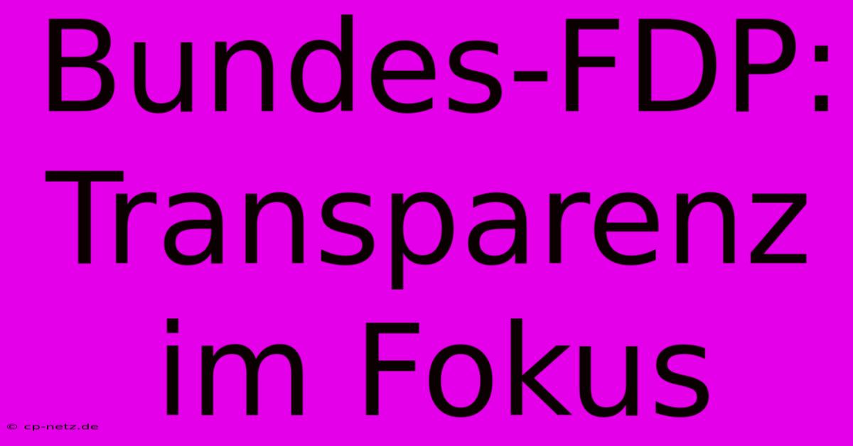 Bundes-FDP: Transparenz Im Fokus