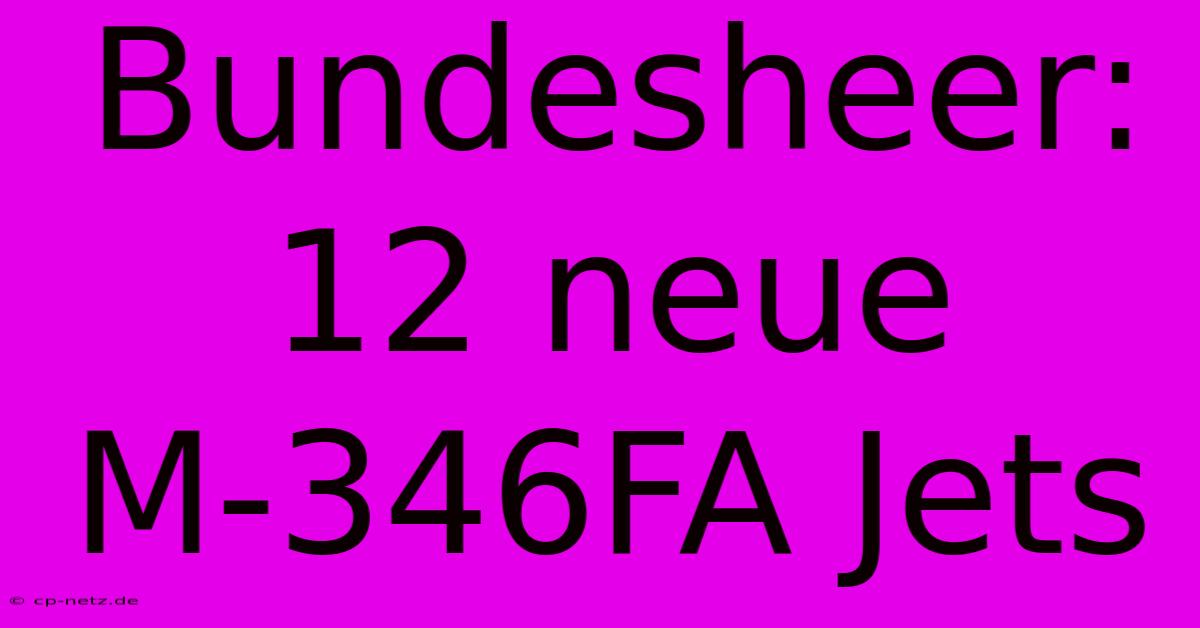 Bundesheer: 12 Neue M-346FA Jets