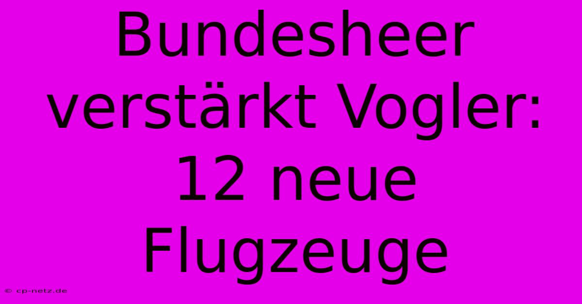 Bundesheer Verstärkt Vogler: 12 Neue Flugzeuge