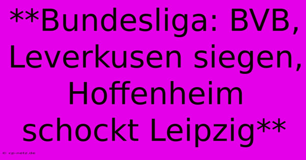 **Bundesliga: BVB, Leverkusen Siegen, Hoffenheim Schockt Leipzig**