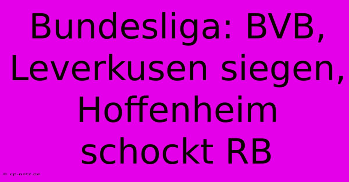 Bundesliga: BVB, Leverkusen Siegen, Hoffenheim Schockt RB