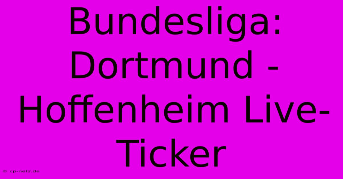 Bundesliga: Dortmund - Hoffenheim Live-Ticker