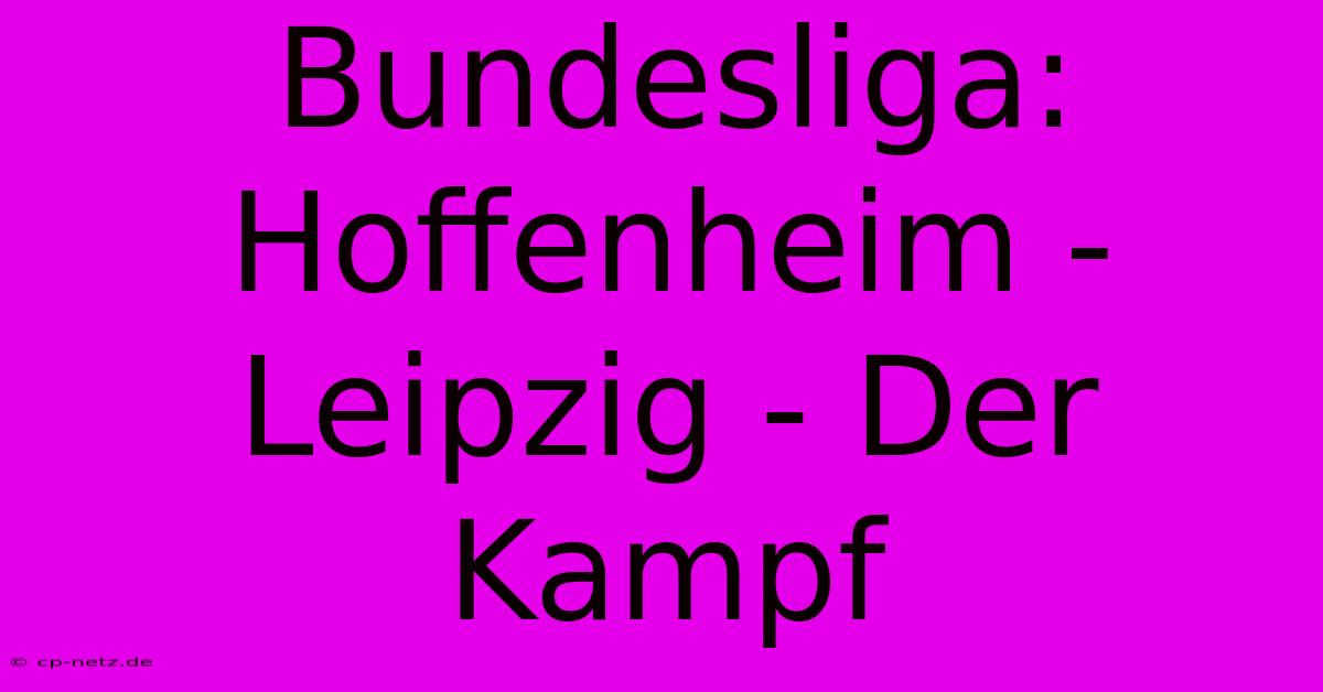 Bundesliga: Hoffenheim - Leipzig - Der Kampf