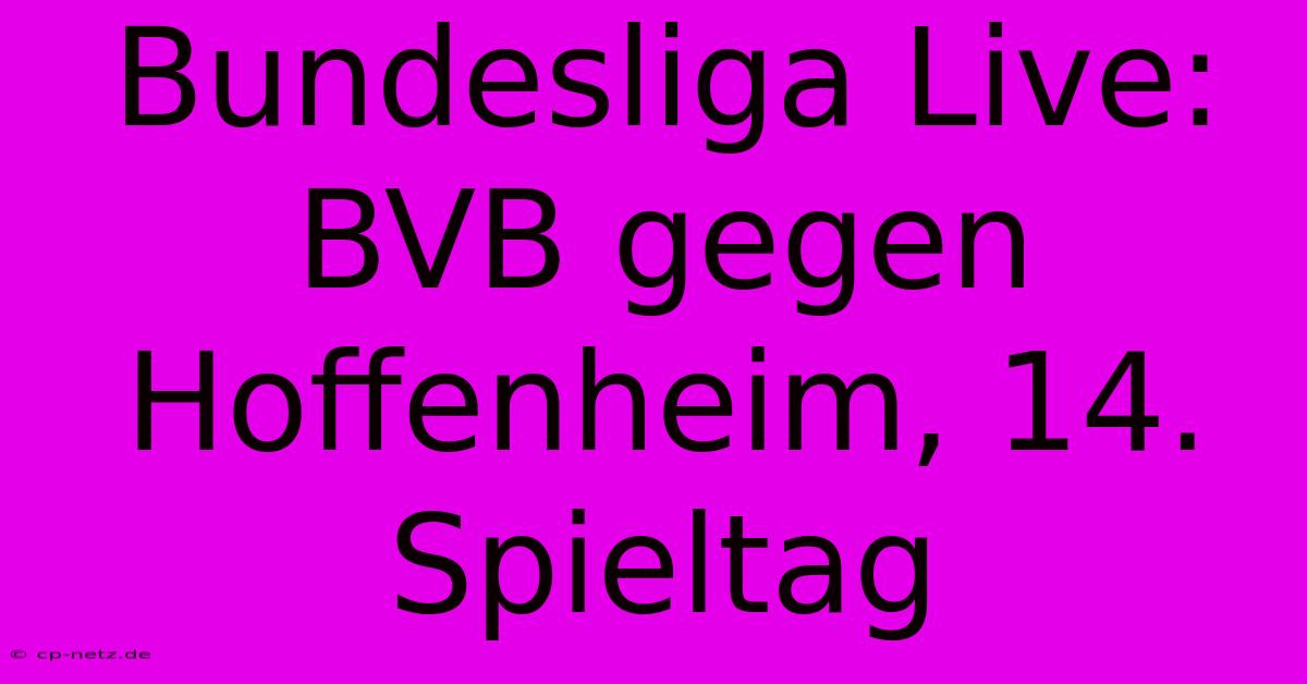 Bundesliga Live: BVB Gegen Hoffenheim, 14. Spieltag