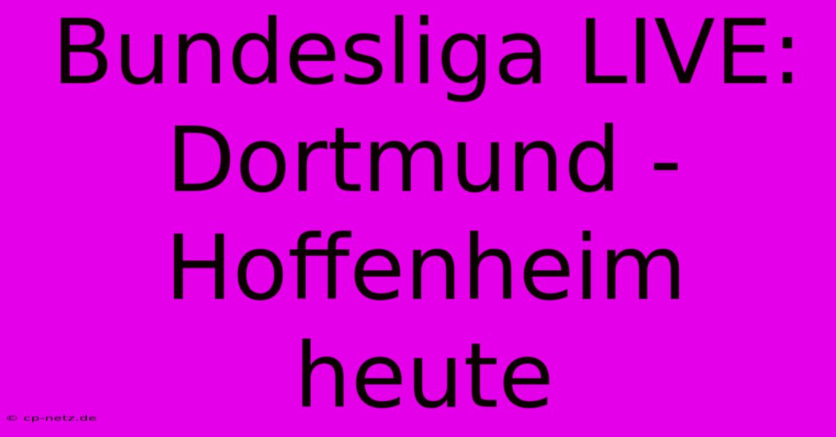 Bundesliga LIVE: Dortmund - Hoffenheim Heute