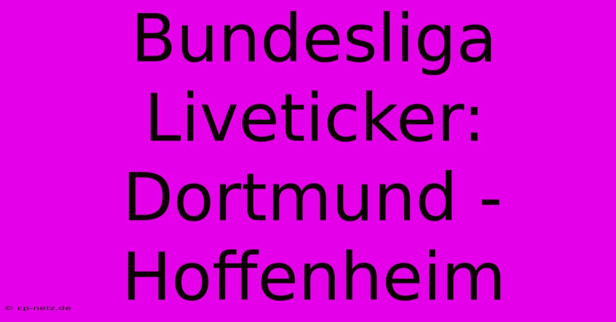 Bundesliga Liveticker: Dortmund - Hoffenheim