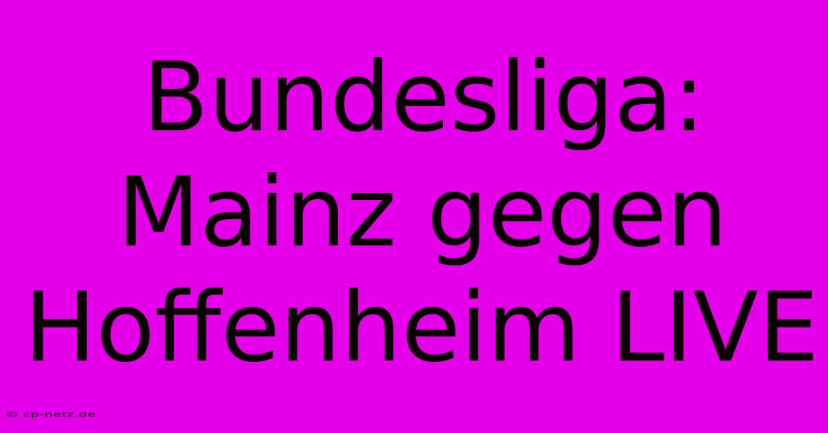 Bundesliga: Mainz Gegen Hoffenheim LIVE