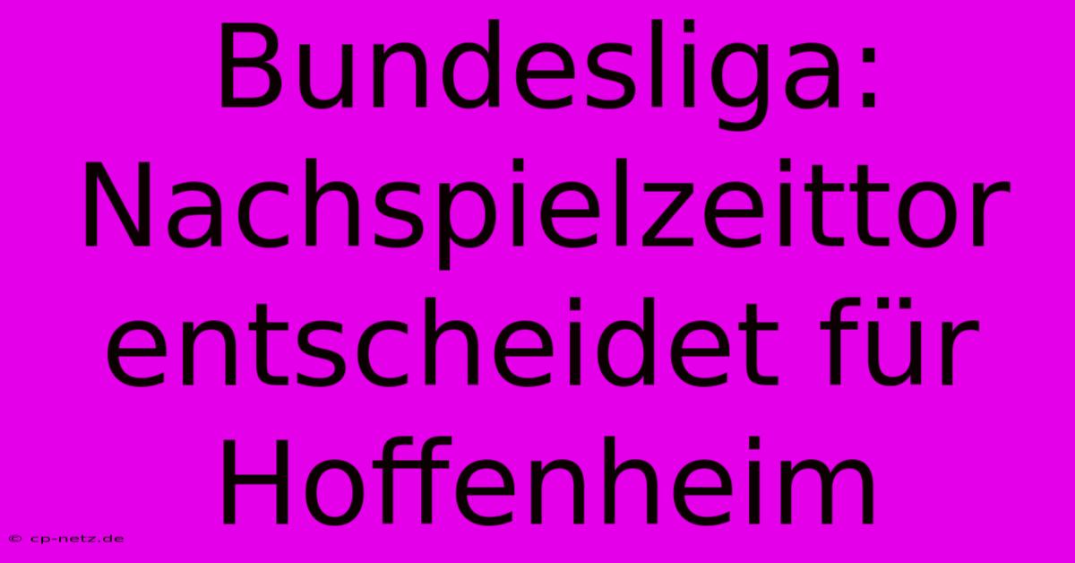 Bundesliga:  Nachspielzeittor Entscheidet Für Hoffenheim