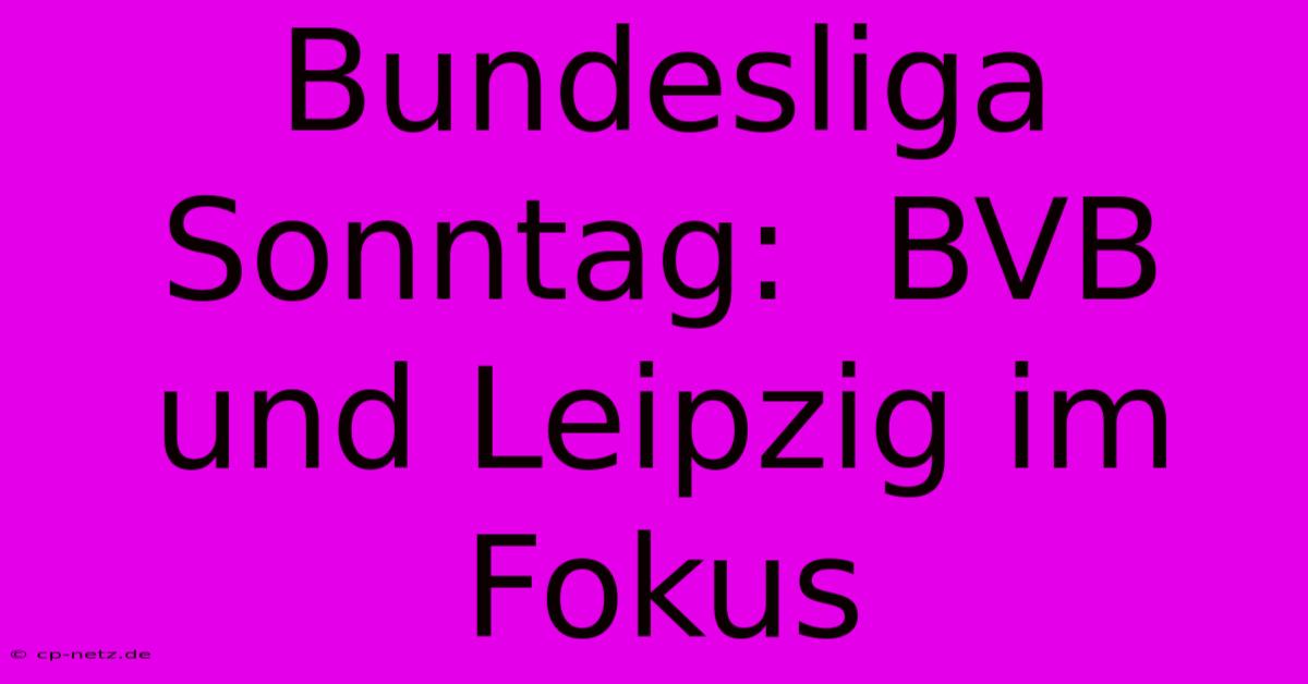 Bundesliga Sonntag:  BVB Und Leipzig Im Fokus