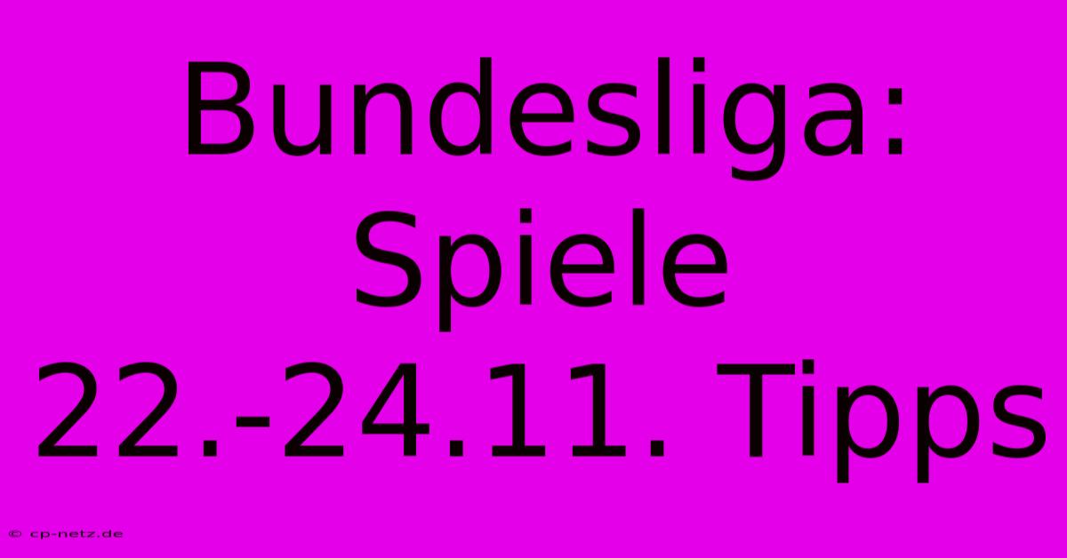 Bundesliga: Spiele 22.-24.11. Tipps