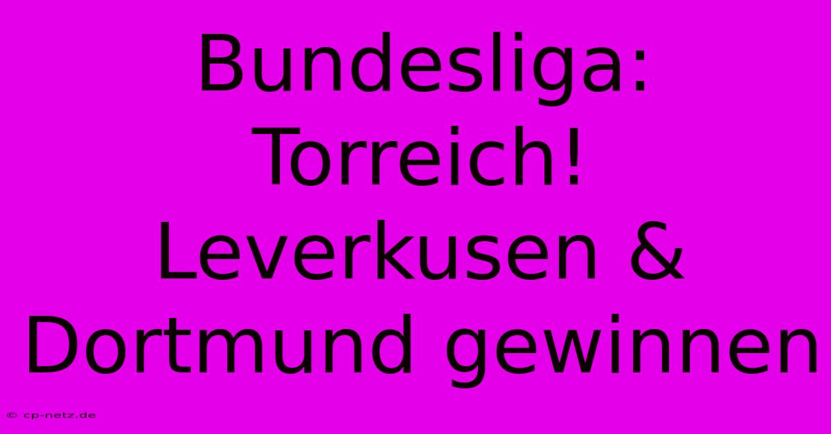 Bundesliga:  Torreich! Leverkusen & Dortmund Gewinnen