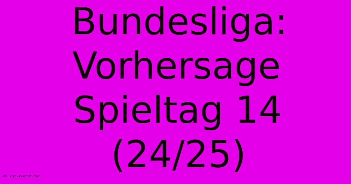 Bundesliga: Vorhersage Spieltag 14 (24/25)