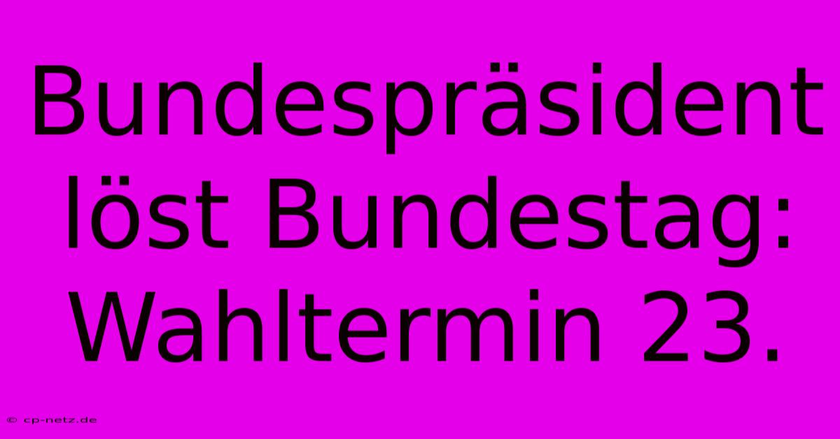 Bundespräsident Löst Bundestag: Wahltermin 23.