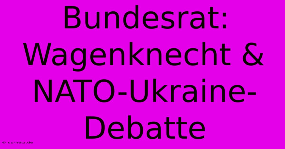 Bundesrat: Wagenknecht & NATO-Ukraine-Debatte