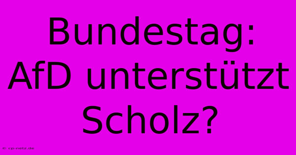 Bundestag: AfD Unterstützt Scholz?