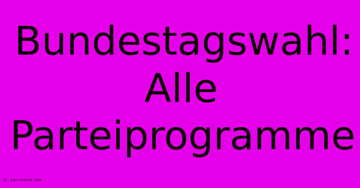 Bundestagswahl: Alle Parteiprogramme