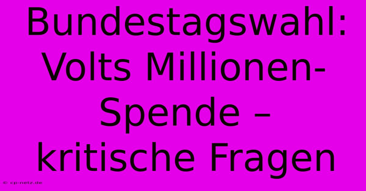 Bundestagswahl:  Volts Millionen-Spende –  Kritische Fragen