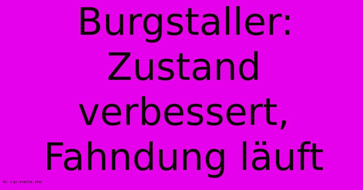 Burgstaller: Zustand Verbessert, Fahndung Läuft