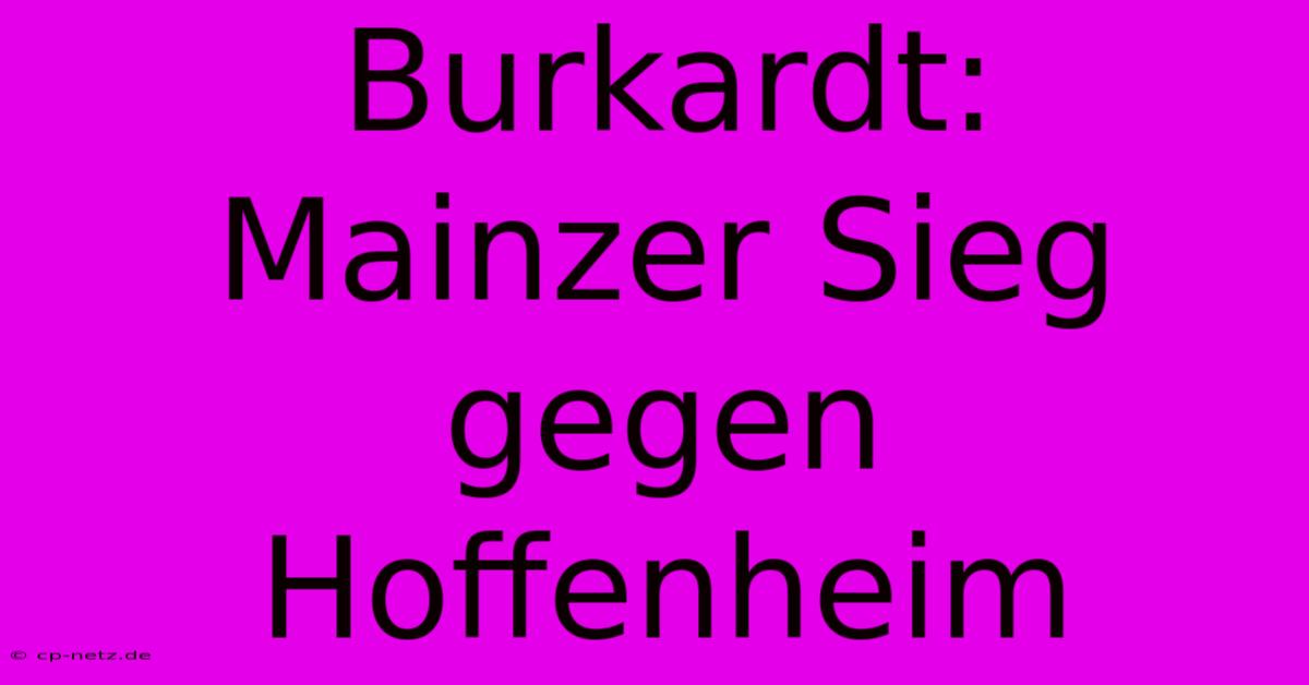 Burkardt: Mainzer Sieg Gegen Hoffenheim