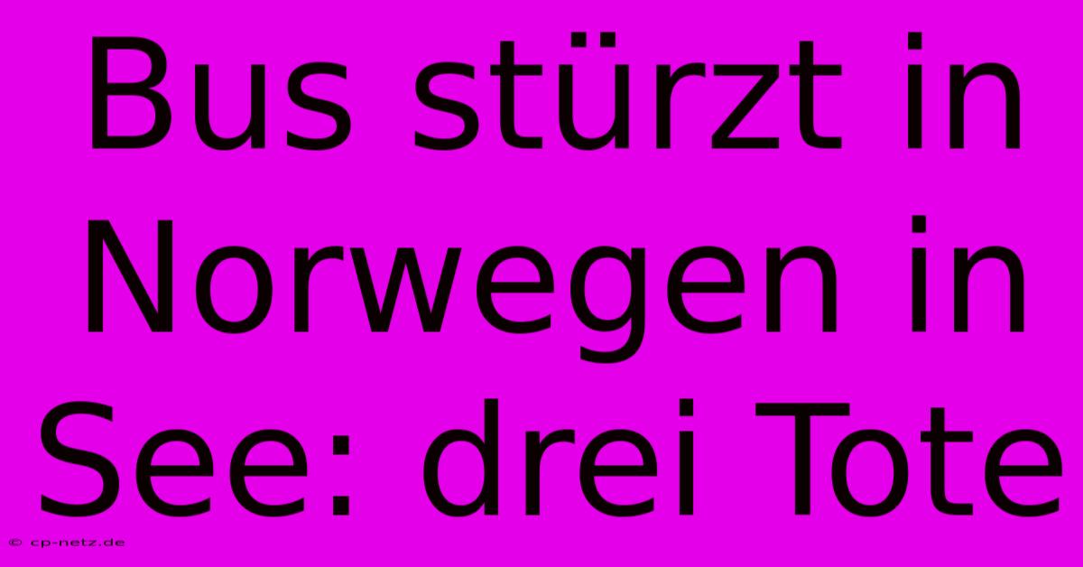 Bus Stürzt In Norwegen In See: Drei Tote