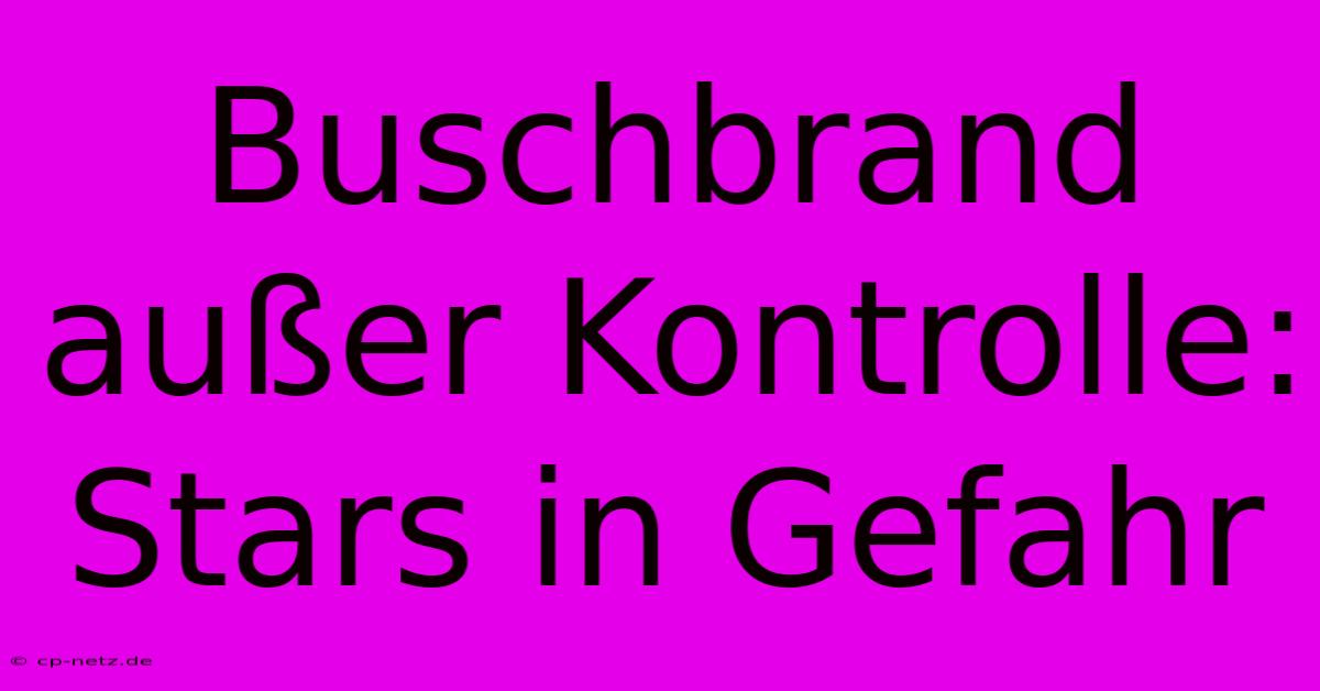 Buschbrand Außer Kontrolle: Stars In Gefahr