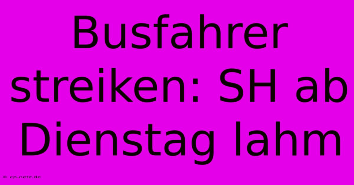 Busfahrer Streiken: SH Ab Dienstag Lahm