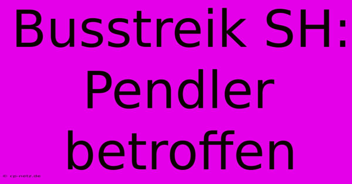 Busstreik SH: Pendler Betroffen