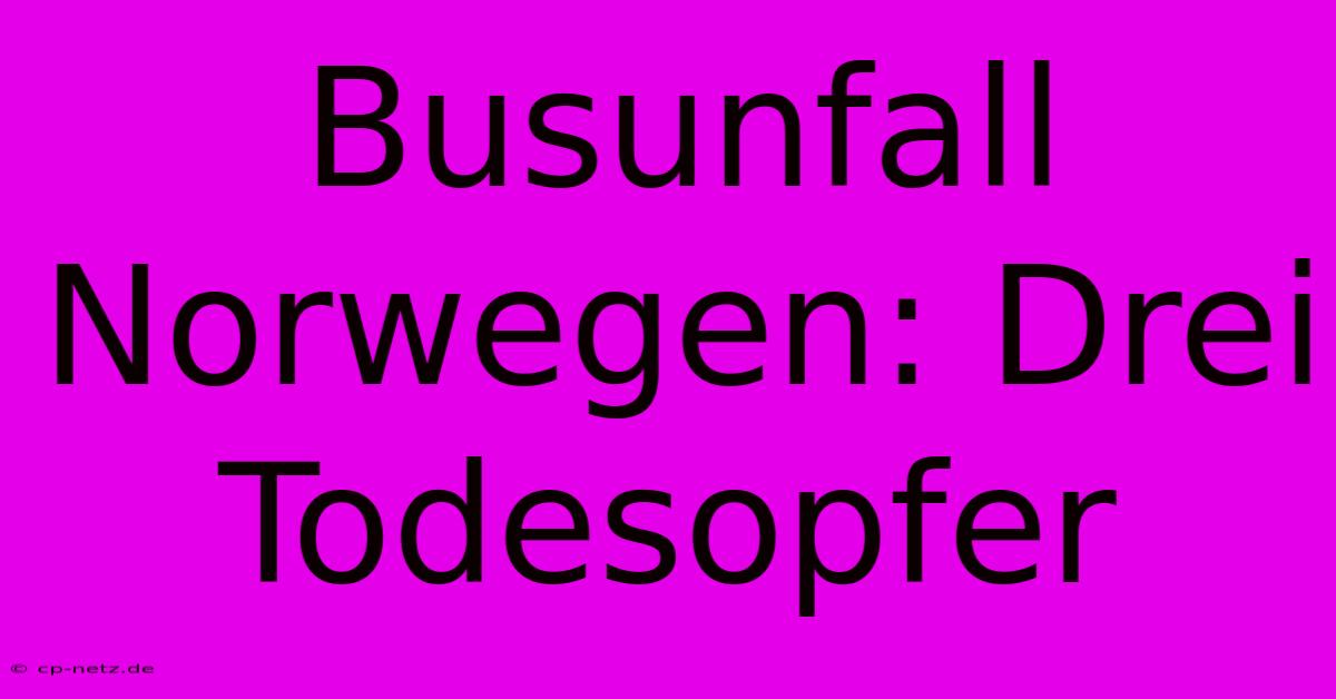 Busunfall Norwegen: Drei Todesopfer